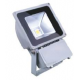 LED Flood Light 